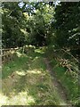 Fence by Footpath 7 in CO7 8RE