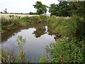 South Heath Farm Pond in CO7 8RW