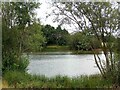 Pond by Colles Brook Rd in CO7 8RW