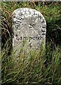 Old Milestone by the A482, Temple Bar, Llanfihangel Ystrad Parish in SA48 8PY