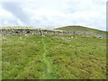 A ladder stile over the upper ffridd wall in Llanllechid Community