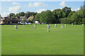 Cricket at Sutton in CB6 2RU