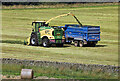 Collecting silage in the Ettrick Valley in TD7 5HL