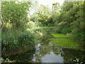 Pond, Harrold-Odell Country Park in Odell