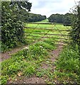 Field gate set back from Crick Road, Monmouthshire in NP6 4XP