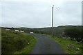 Sheep on the road below Caer Cynog in Llanbedr Community