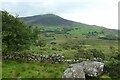 Wall below Caer Cynog in Llanbedr Community