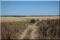 Bridleway towards a barley field in SG11 2NN