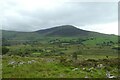 Moorland near Caer Cynog in Llanbedr Community