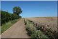 Footpath along farm track in SG9 0LX