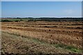 Harvested field near Beauchamp's Wood in SG9 0FA