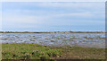 Montrose Basin in DD10 9LE