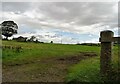 Farmland near Brindle in Clayton East, Brindle & Hoghton Ward