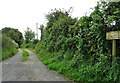 Track leading to Lady Hall Farm in PR6 8PB