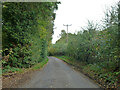 Doiley Bottom heading north in SP11 0ET