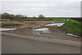 Fields by Byall Fen Drove in Chatteris North & Manea Ward