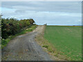 Bridleway and farm track towards West Woodhay in RG20 0BP
