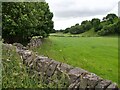 Grassy fields and drystone walls in Batham Gate
