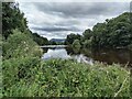 River Wye, Boughrood in LD3 0UU