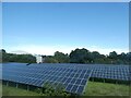 Solar farm, Broom, near Tytherleigh in EX13 7AR