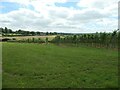 Vineyard, Hattingley Valley in GU34 5NJ