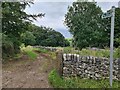 Track towards Hargatewall in Wormhill