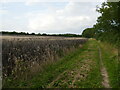 Bridleway to Sharnbrook in MK43 7AB