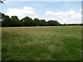 Grass field off Forty Foot Lane in MK44 1HB