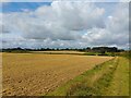 Winding Wood farmland in RG20 8NP