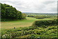 View from Gover Hill in West Peckham