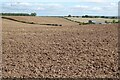 Farmland around Whiting-ash Farm in Berrow