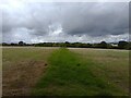 Footpath towards Hungerford Newtown in RG17 0PT