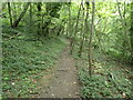 Footpath through Boxers Wood in CR5 1NY