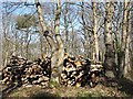 A stack of wood in NR9 5TQ