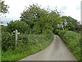 Road and bridleway to Redlands Farm in BA4 6LY