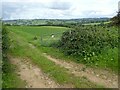 Farm track, above Milton Clevedon in BA4 6NP