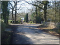 Lane junction near Stoneyard Green - 1 in HR8 1PZ
