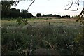 Scrubland by Watling Street, Gibbet Hill in LE17 6WR