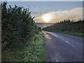 Low morning sun on Stoke Road, looking east in TA3 5DE