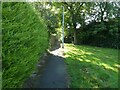 Path by St Mawes Road in WV6 7TE