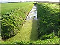 A very green ditch in PE14 9QG
