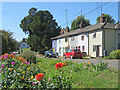 Ashdon: allotment dahlias and a colourful terrace in Ashdon