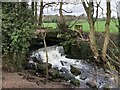Weir along Rising Brook near Rugeley in WS15 1GA