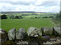 View across Coverdale in DL8 4RU