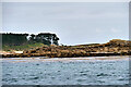 Green Island, Tresco in Isles of Scilly