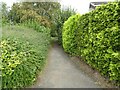Path off Athelstan Grove in WV6 7YB