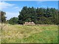 A stack of old straw bales at Badger Wood in DE12 6RF