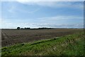 Fields south of Sigglesthorne Road in HU11 4UY