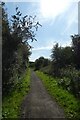 Rail trail north of Whitedale Station in HU11 4TY