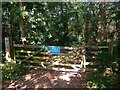 Gate to Little Tofts Wood in CO16 9FQ